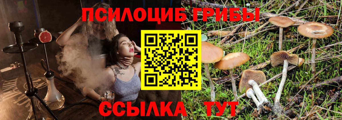 Галлюциногенные грибы Magic Shrooms Нарткала