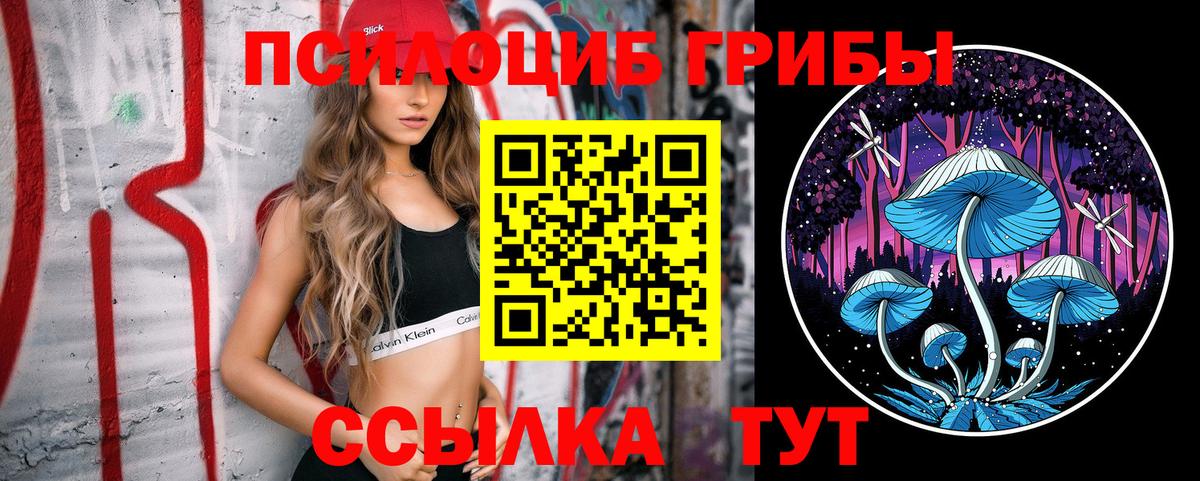 Нарткала  Псилоцибиновые грибы мицелий  Вход с VPN 